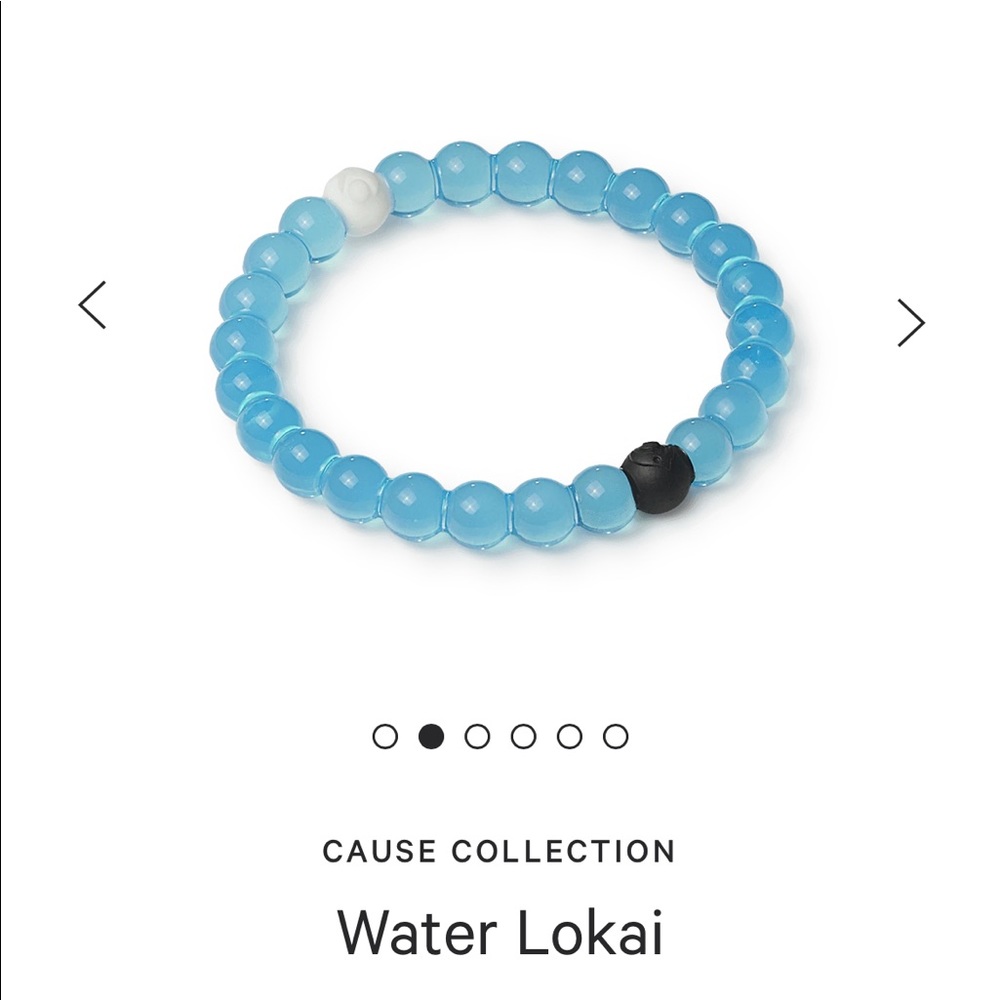NWOT Water Lokai Bracelet